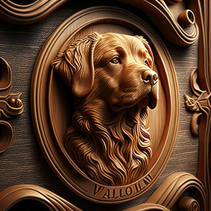 Італійська собака Вольпіно